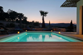 M2 Splendide villa de haut standing 12 pers piscine chauffée vue mer